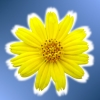 Labony