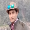 Tariqulit