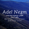 AdelNegm