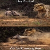Simba99