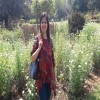 rashmisharma