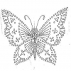 sumaiya17