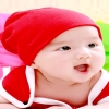 pandi2591