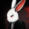 WhiteRabbit