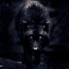 SchwarzerWolf