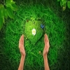alonahid000