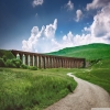 needhelp4site