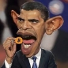 guavara