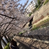 TAKAHASHI
