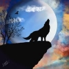 Nnightwolff