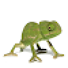 TSlate