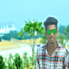 backlinskexpert