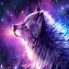 silverjok