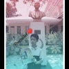 RedGuiruela13