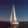 sl1985