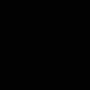 Gemini111