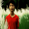 tarekmahmud449