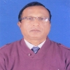 hqhamidul