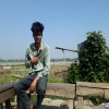 bhowmiknibir