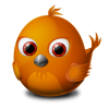 Shumailamemon