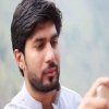 mohsinseo233