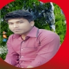 Bulbulseo72