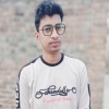 mdalaminjarvis