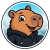 atifarif74