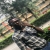 jovial24