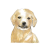 nineninejune
