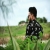 SHAHINALAM01878