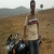 sureshjacob