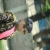 abuhanif