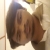 Kavindu999