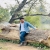 Alif172787