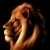 twitterva500