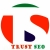 Turstseo