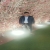 Sikandar150874