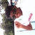 Ajmalzahir