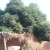 MuneerSeo