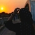 abudlhannan238636