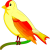 zoraiz