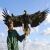 Eagle12