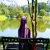 Shanaz13
