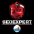 SEOexpert099