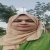 ayesha159661