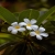 mahmud711143