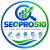 seopro510