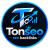 Tonseo
