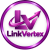 LinkVertex